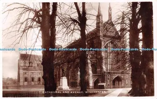 R504627 Winchester Cathedral and Avenue Excel Serie RP