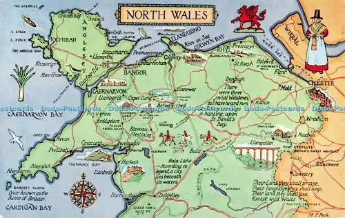 R508256 North Wales M F Peck Map Salmon 4587