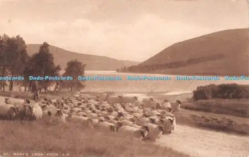 R508494 St Marys Loch aus S W 1503 A R Edwards