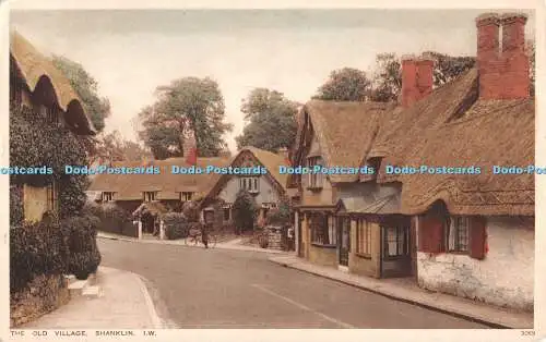 R505566 I W Shanklin The Old Village W J Nigh