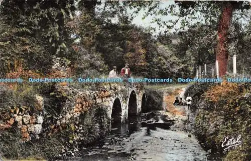 R508622 Dammartin en Serve S et O Pont de lArche Estel Lavelle 15027