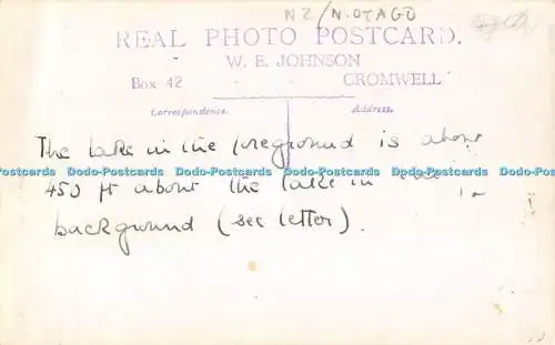 R505756 N Z Pembroke Pigeon Island The Neck W E Johnson Box 42 RP