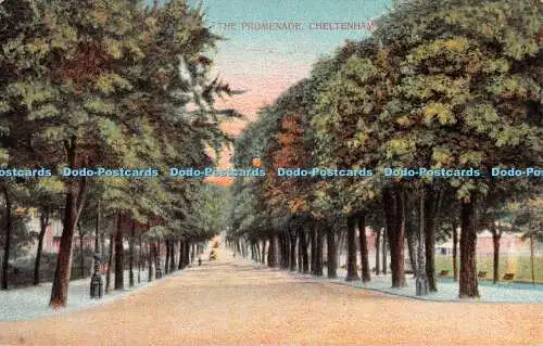 R507462 Cheltenham The Promenade G D und D L Star Series