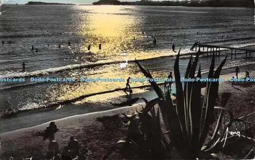 R505795 Cote d Azur Bandol La Plage du Lido au crepuscule Aris 1957