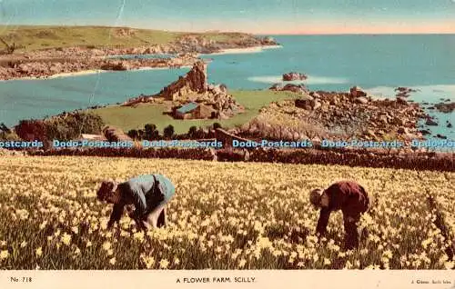 R509284 Scilly A Flower Farm J Gibson No 718 1956