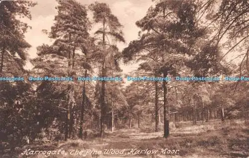 R507951 Harrogate the Pine Wood Harlow Moor F Frith No 71664