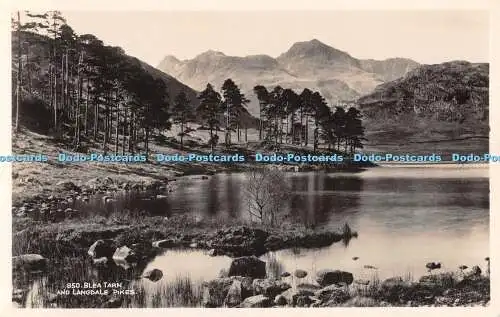 R507996 Blea Tarn and Langdale Pikes G P Abraham RP