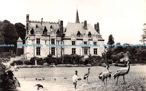 R511053 Parc Zoologique de Cleres S Mme Le Chateau Grues Couronnees et Demoisell