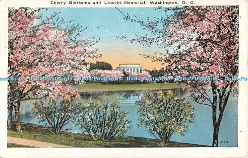 R511064 Cherry Blossoms and Lincoln Memorial Washington D C 29114 B S Reynolds 1