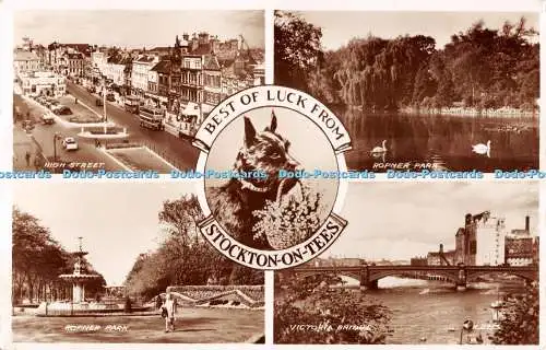 R511169 Best of Luck from Stockton on Tees K2713 Dog Valentines RP 1956 Multi Vi