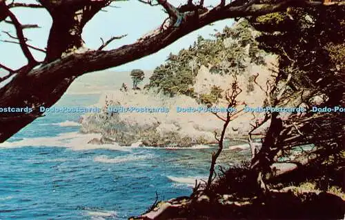 R509775 California Point Lobos Reserve State Park Cypress Cove Bundesstaat Kalifornien