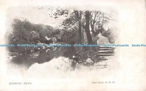 R513519 Jesmond Dene G H W Auty Serie Postkarte