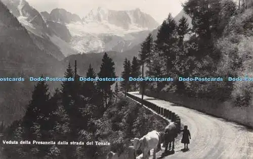 R511381 Veduta della Presanella dalla del Tonale F A T 293 8