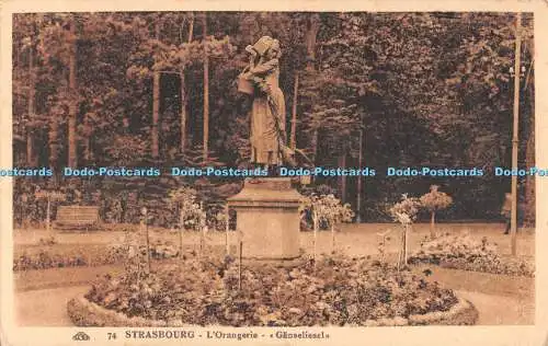 R509952 Strasbourg L Orangerie Ganseliesel C A P