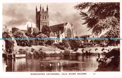 R509957 Worcester Cathedral From River Severn RP