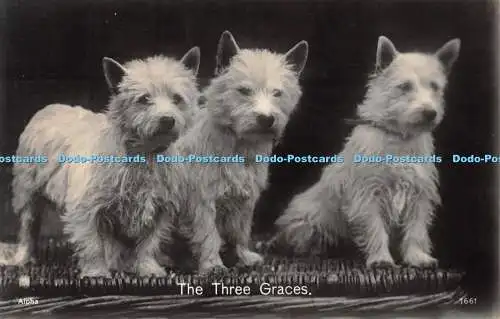 R510034 The Three Graces Alpha Publishing