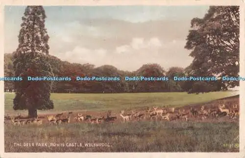 R510078 Welshpool Powis Castle The Deer Park Valentine 1943