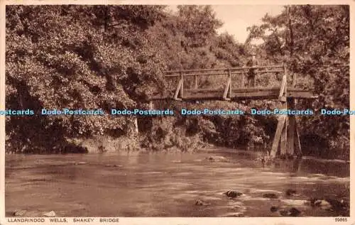 R510086 Llandrindod Wells Shakey Bridge Photochrom