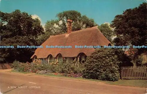 R510286 A New Forest Cottage J Salmon Cameracolour 1967