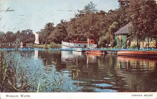 R511802 Norfolk Broads Womack Water J Salmon 1954