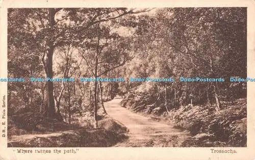 R514112 Wo sich der Weg bindet Trossachs D B Pixie Serie 1909