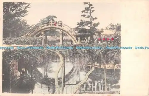 R514115 A 535 Wisteria Brossoms Kameido at Tokyo