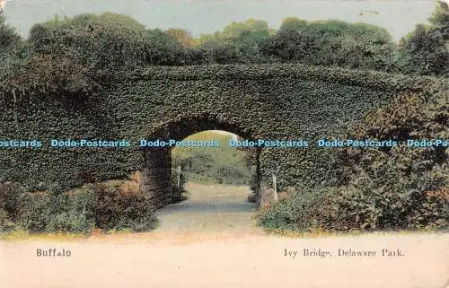 R512534 Buffalo Ivy Bridge Delaware Park No 1121 Paul C Koeber P S K Series 1905