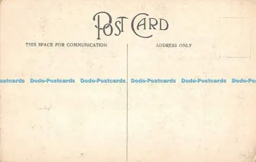 R514918 Glastonbury Abbey St Joseph Chapel E End