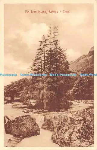 R515145 Bettwys y Coed Fir Tree Island Picturesque North Wales Tuck Sepia No 2026