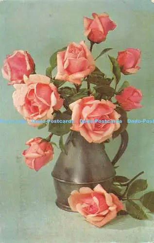 R515387 Rose Betty Uprichard J Salmon Cameracolour 1982