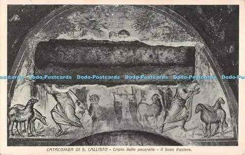 R513232 Catacomba di S Callisto Cripta delle pecorelle Il buon Pastore Associazi