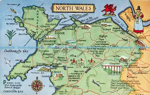 R518692 North Wales M F Peck Map Salmon 4587