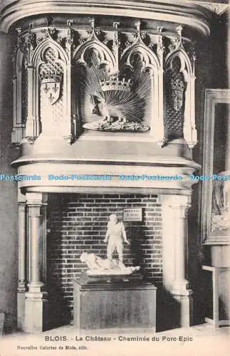 R516637 Blois Le Chateau Cheminee du Porc Epic Nouvelles Galeries de Blois