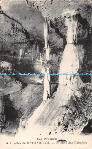 R516817 Les Pyrenees Grottes de Betharram Colonne des Palmiers