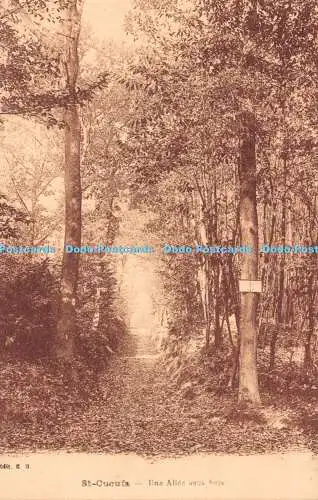 R516875 St Cucufa Une Allee Sous Bois Postkarte