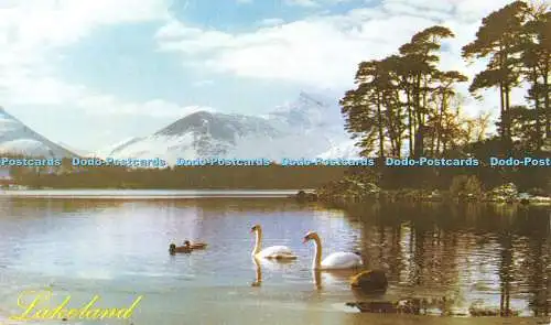 R519038 Lakeland Derwentwater Old Lakeland Dialekt Souvenir Postkarte Brüder Felsen
