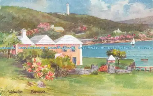 R519055 Bermuda Waterlot C F Tucker J Salmon Ethel Tucker