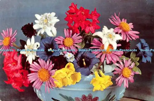 R521083 Alpenblumen E Gyger Postkarte