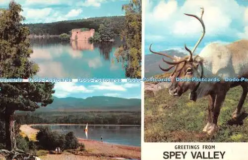 R521136 Grüße aus Spey Valley Loch Morlich J B White Colourmaster Internati