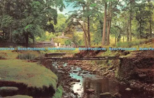 R521217 The Forest Trough of Bowland Nr Clitheroe Photo Precision Colourmaster I