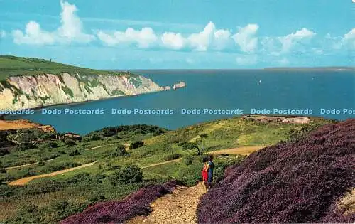 R521226 Isle of Wight Alum Bay and the Needles D Constance