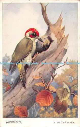 R517323 Specht Winifred Austen Valentine 1949