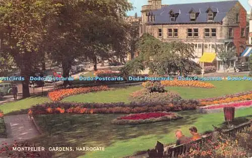 R519552 Harrogate Montpelier Gardens J Salmon 1967