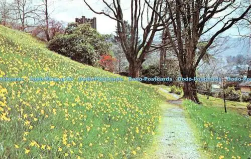 R517745 Dora Field Rydal nr Ambleside