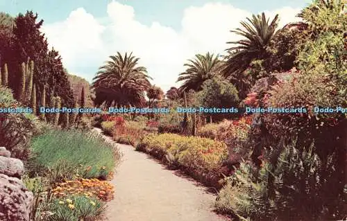 R517919 Scilly Tresco Gardens F E Gibson Natural Colour Series 1981