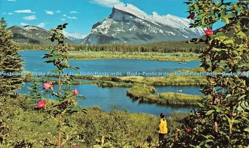 R519994 Canadian Rockies Mount Rundle and the Vermillion Lakes Double L Color Pr