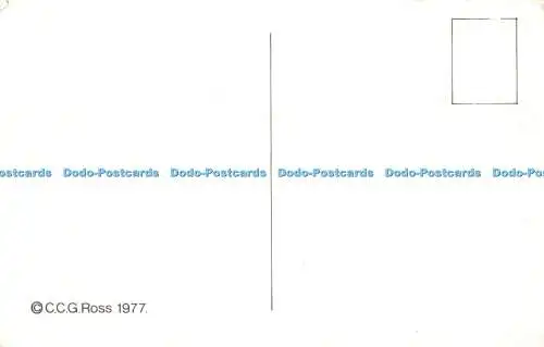 R520002 Great Wishford Wiltshire The Bread Stones Bill Top Miad C C G Ross 1997