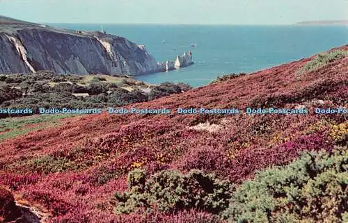 R517981 I W Alum Bay and The Needles W J Nigh Plastichrome