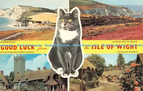 R523746 Viel Glück von der Isle of Wight Old Village Shanklin W J Nigh Jarrold M