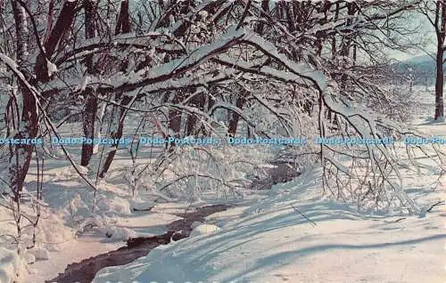 R520053 Winter Wonderland Feerie de lHiver Free Lance Photographers Guild Dexter